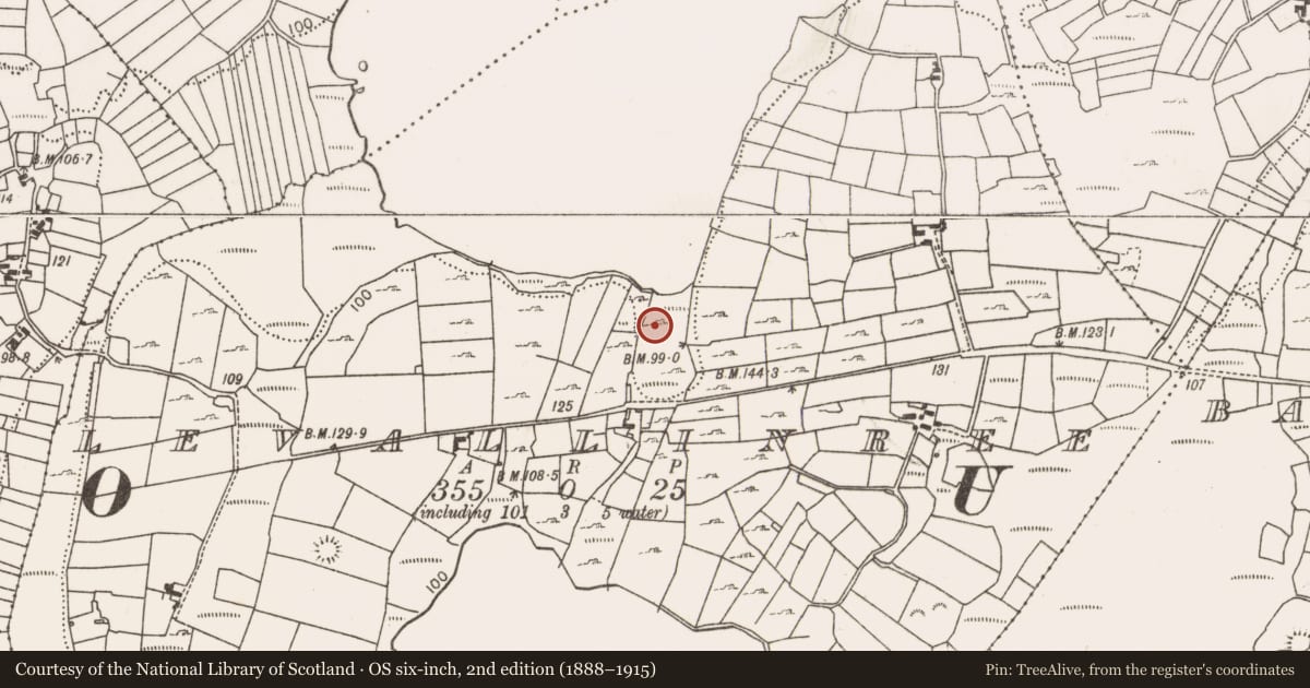 Ordnance Survey six-inch map, 2nd edition (1888–1915) covering the location of Fulacht fia, Levallinree, County Mayo, with a pin at the register's coordinates