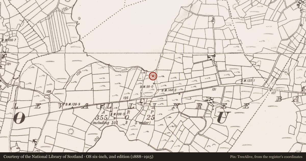 Ordnance Survey six-inch map, 2nd edition (1888–1915) covering the location of Fulacht fia, Levallinree, County Mayo, with a pin at the register's coordinates