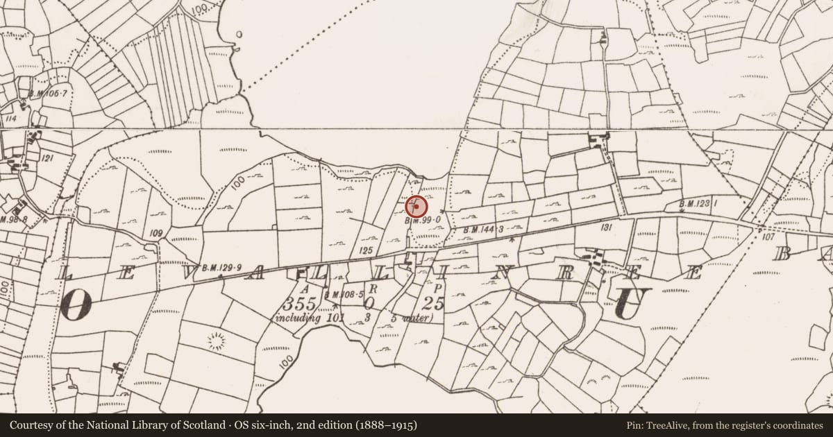 Ordnance Survey six-inch map, 2nd edition (1888–1915) covering the location of Fulacht fia, Levallinree, County Mayo, with a pin at the register's coordinates
