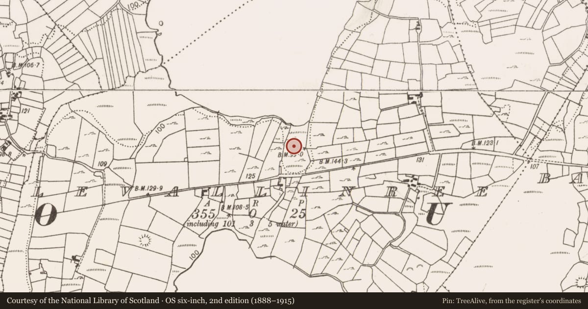 Ordnance Survey six-inch map, 2nd edition (1888–1915) covering the location of Fulacht fia, Levallinree, County Mayo, with a pin at the register's coordinates