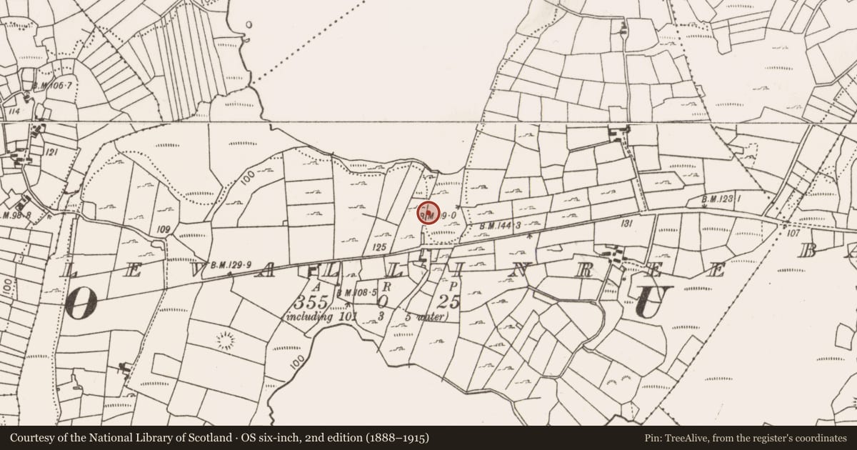 Ordnance Survey six-inch map, 2nd edition (1888–1915) covering the location of Fulacht fia, Levallinree, County Mayo, with a pin at the register's coordinates
