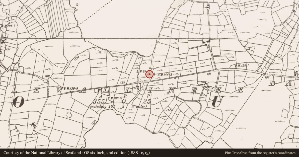 Ordnance Survey six-inch map, 2nd edition (1888–1915) covering the location of Fulacht fia, Levallinree, County Mayo, with a pin at the register's coordinates