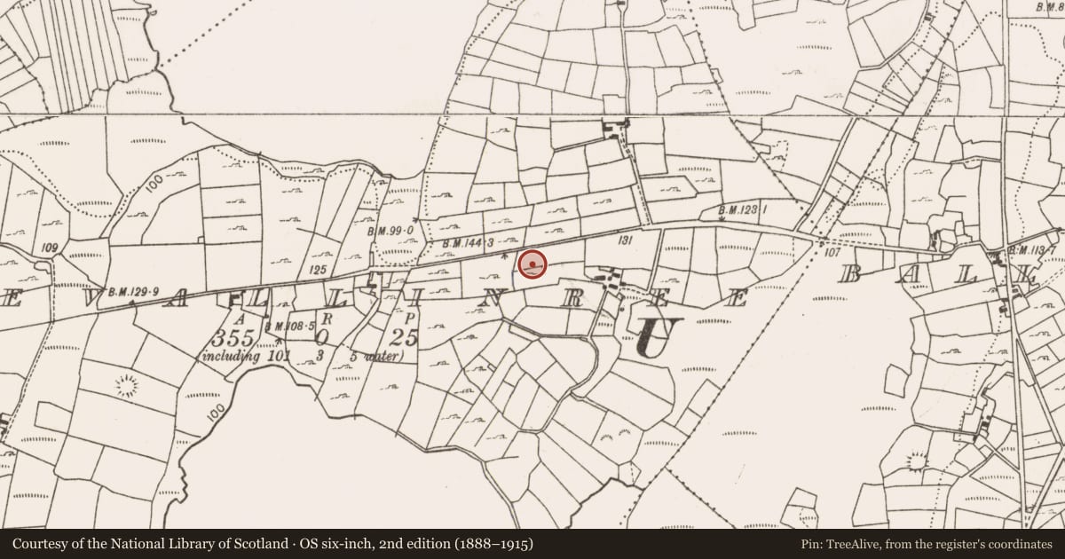 Ordnance Survey six-inch map, 2nd edition (1888–1915) covering the location of Ringfort - unclassified, Levallinree, County Mayo, with a pin at the register's coordinates
