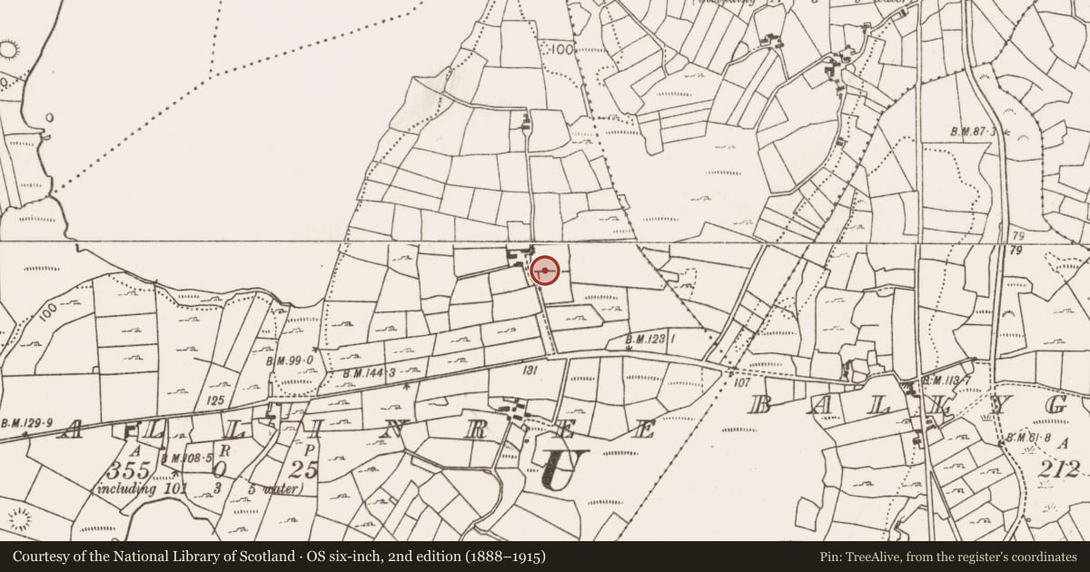 Ordnance Survey six-inch map, 2nd edition (1888–1915) covering the location of Fulacht fia, Levallinree, County Mayo, with a pin at the register's coordinates