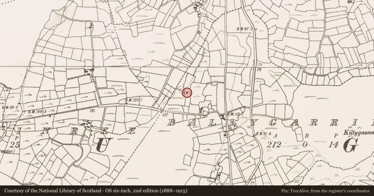 Ordnance Survey six-inch map, 2nd edition (1888–1915) covering the location of Fulacht fia, Ballygarriff, County Mayo, with a pin at the register's coordinates