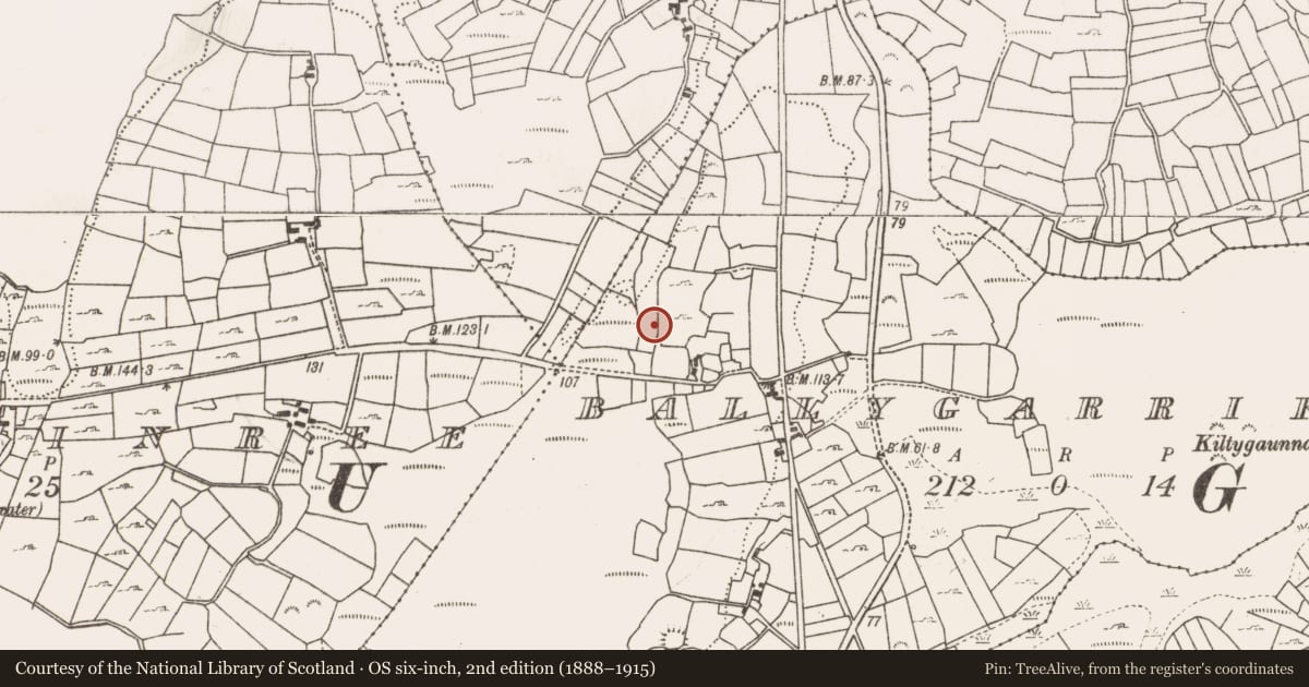 Ordnance Survey six-inch map, 2nd edition (1888–1915) covering the location of Fulacht fia, Ballygarriff, County Mayo, with a pin at the register's coordinates