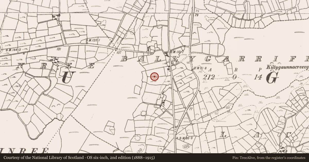 Ordnance Survey six-inch map, 2nd edition (1888–1915) covering the location of Enclosure, Ballygarriff, County Mayo, with a pin at the register's coordinates