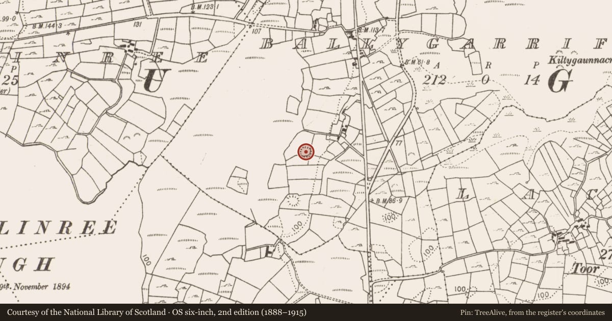 Ordnance Survey six-inch map, 2nd edition (1888–1915) covering the location of Ringfort - rath, Ballygarriff, County Mayo, with a pin at the register's coordinates