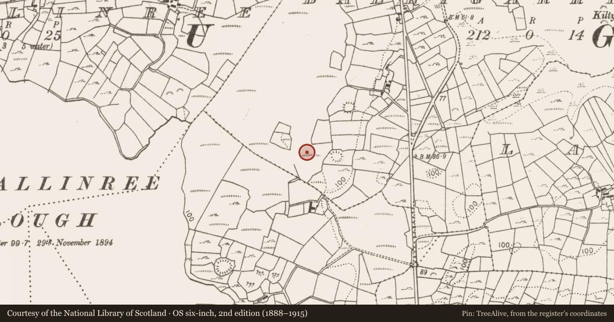 Ordnance Survey six-inch map, 2nd edition (1888–1915) covering the location of Ritual site - holy/saint's stone, Ballygarriff, County Mayo, with a pin at the register's coordinates