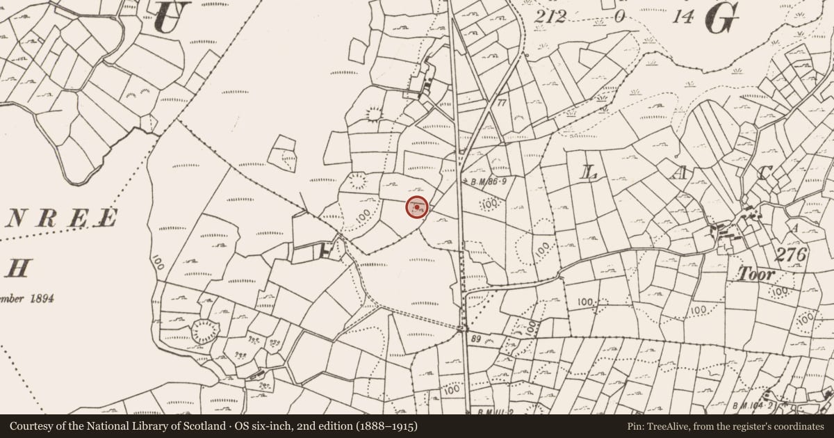 Ordnance Survey six-inch map, 2nd edition (1888–1915) covering the location of Hut site, Ballygarriff, County Mayo, with a pin at the register's coordinates