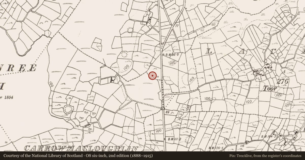 Ordnance Survey six-inch map, 2nd edition (1888–1915) covering the location of Fulacht fia, Ballygarriff, County Mayo, with a pin at the register's coordinates
