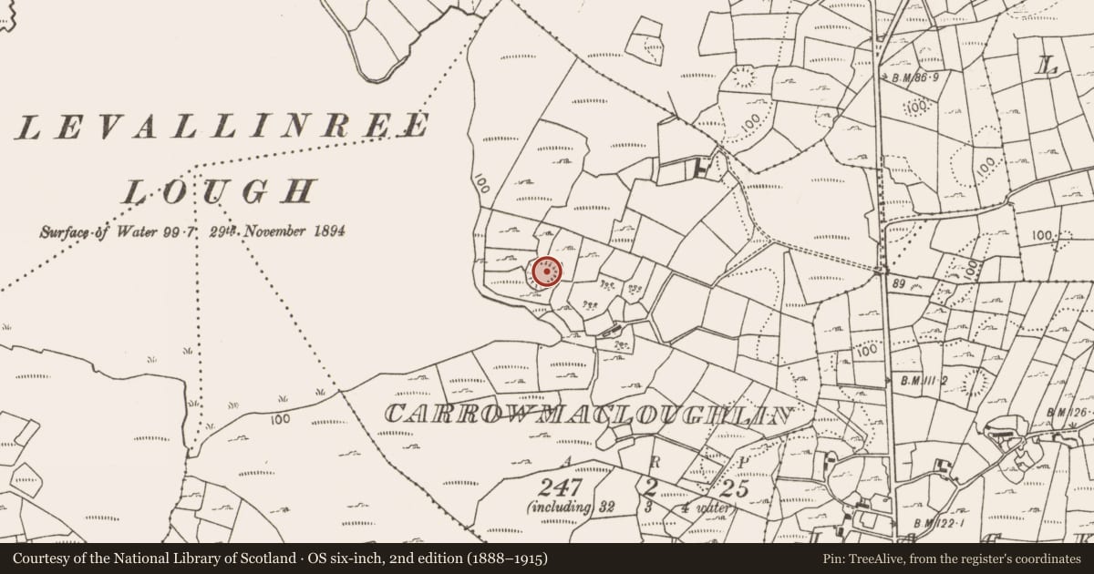 Ordnance Survey six-inch map, 2nd edition (1888–1915) covering the location of House - indeterminate date, Carrowmacloughlin, County Mayo, with a pin at the register's coordinates