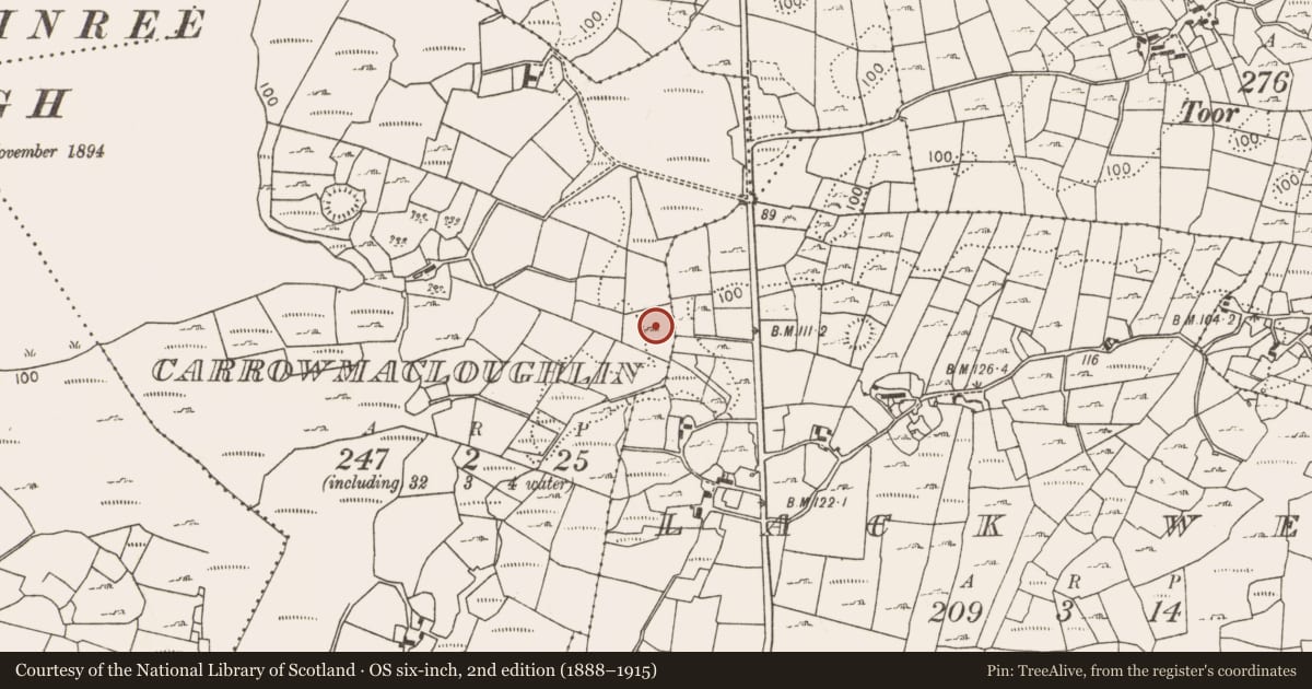 Ordnance Survey six-inch map, 2nd edition (1888–1915) covering the location of Fulacht fia, Carrowmacloughlin, County Mayo, with a pin at the register's coordinates