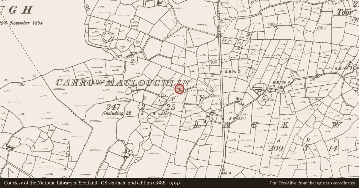 Ordnance Survey six-inch map, 2nd edition (1888–1915) covering the location of Fulacht fia, Carrowmacloughlin, County Mayo, with a pin at the register's coordinates