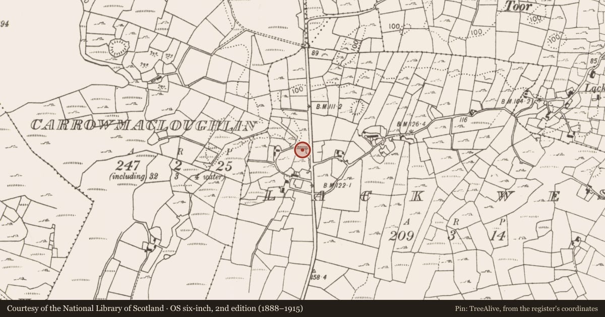 Ordnance Survey six-inch map, 2nd edition (1888–1915) covering the location of Fulacht fia, Lack West, County Mayo, with a pin at the register's coordinates