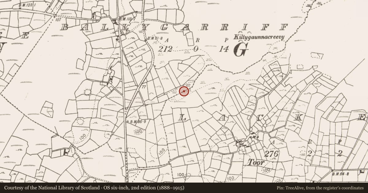 Ordnance Survey six-inch map, 2nd edition (1888–1915) covering the location of Fulacht fia, Lack East, County Mayo, with a pin at the register's coordinates