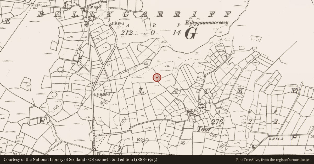 Ordnance Survey six-inch map, 2nd edition (1888–1915) covering the location of Fulacht fia, Lack East, County Mayo, with a pin at the register's coordinates
