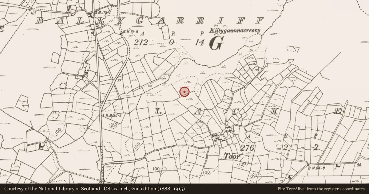 Ordnance Survey six-inch map, 2nd edition (1888–1915) covering the location of Fulacht fia, Lack East, County Mayo, with a pin at the register's coordinates