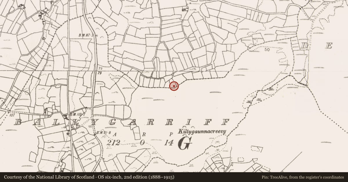 Ordnance Survey six-inch map, 2nd edition (1888–1915) covering the location of Enclosure, Treanybrogaun, County Mayo, with a pin at the register's coordinates