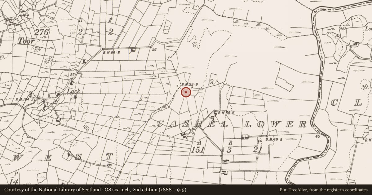 Ordnance Survey six-inch map, 2nd edition (1888–1915) covering the location of Fulacht fia, Cashel Lower, County Mayo, with a pin at the register's coordinates