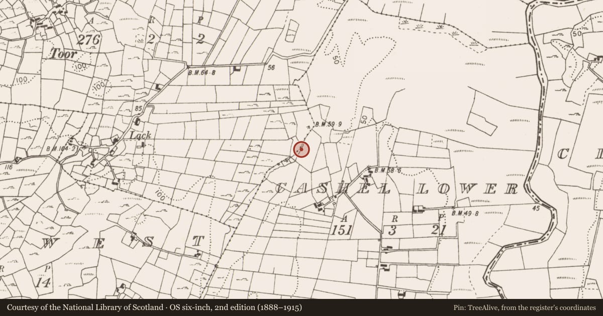 Ordnance Survey six-inch map, 2nd edition (1888–1915) covering the location of Fulacht fia, Cashel Lower, County Mayo, with a pin at the register's coordinates