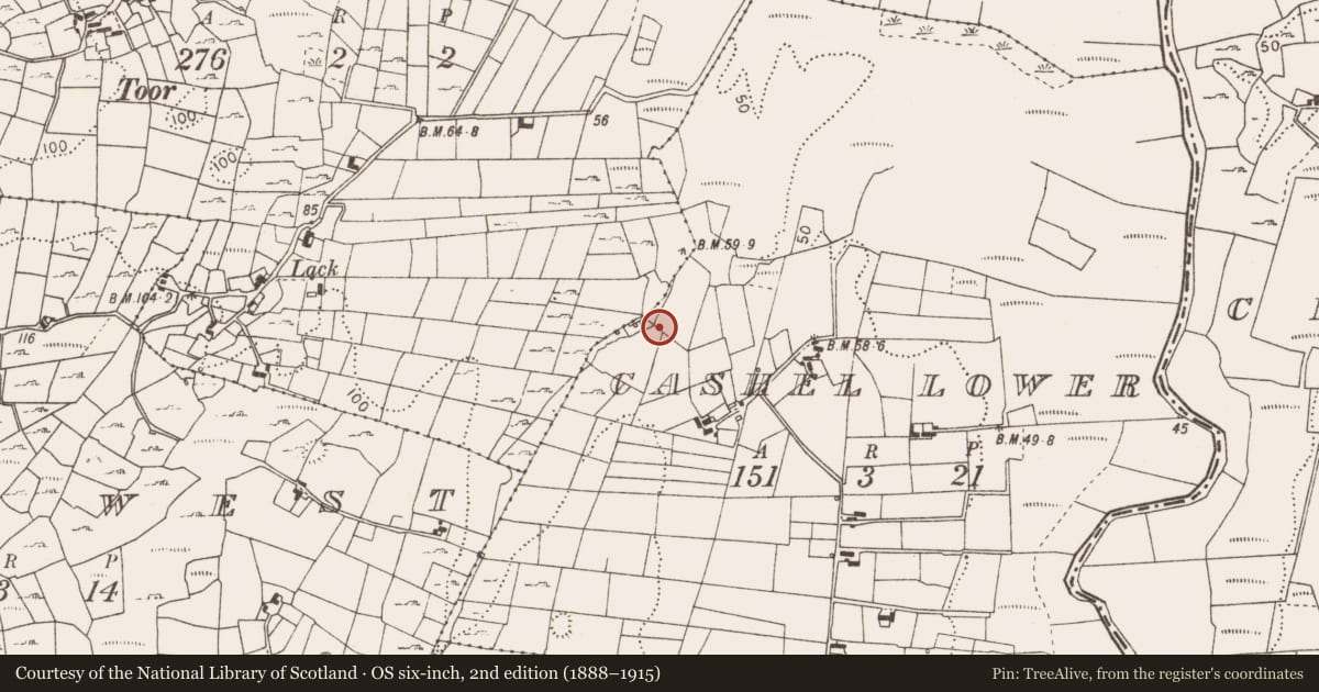 Ordnance Survey six-inch map, 2nd edition (1888–1915) covering the location of Fulacht fia, Cashel Lower, County Mayo, with a pin at the register's coordinates