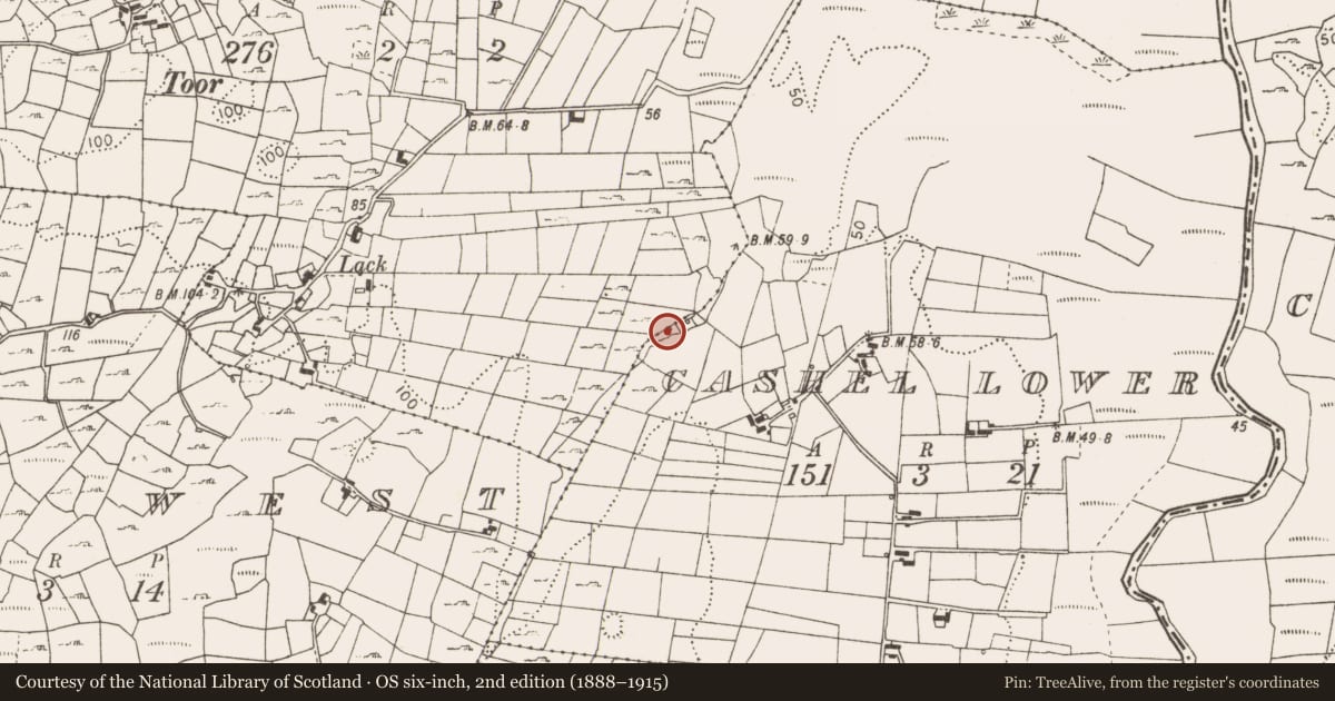 Ordnance Survey six-inch map, 2nd edition (1888–1915) covering the location of Fulacht fia, Cashel Lower, County Mayo, with a pin at the register's coordinates