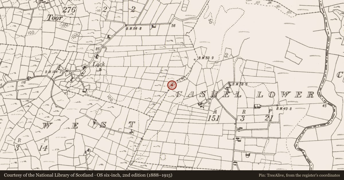 Ordnance Survey six-inch map, 2nd edition (1888–1915) covering the location of Fulacht fia, Cashel Lower, County Mayo, with a pin at the register's coordinates