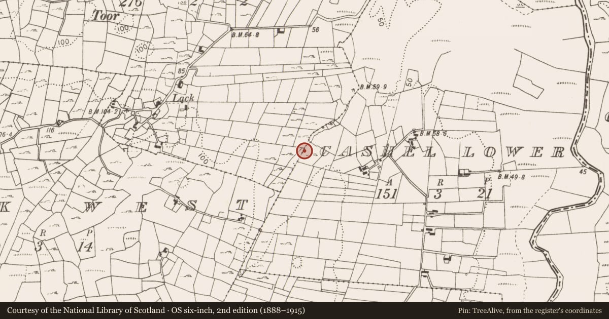 Ordnance Survey six-inch map, 2nd edition (1888–1915) covering the location of Fulacht fia, Cashel Lower, County Mayo, with a pin at the register's coordinates