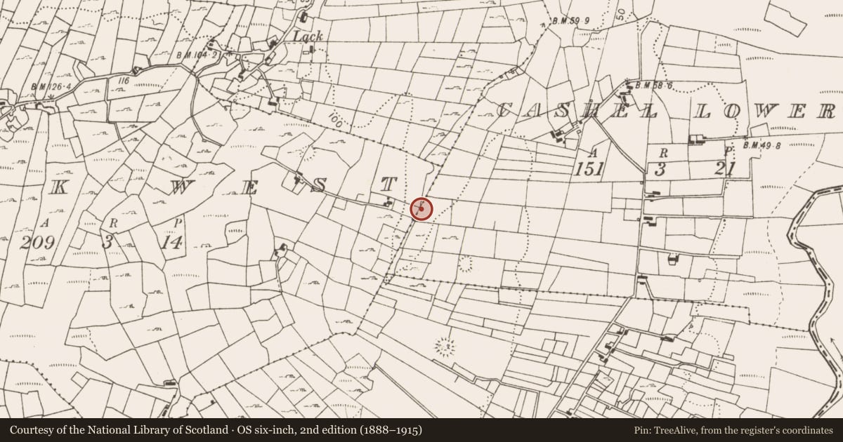 Ordnance Survey six-inch map, 2nd edition (1888–1915) covering the location of Fulacht fia, Cashel Lower, County Mayo, with a pin at the register's coordinates