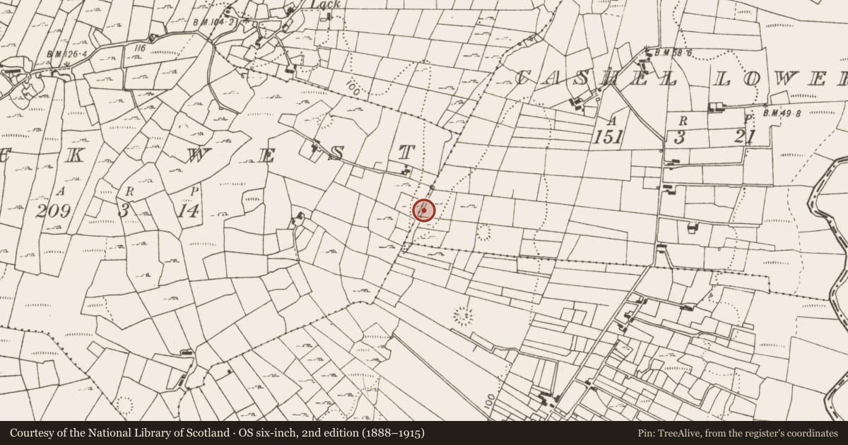 Ordnance Survey six-inch map, 2nd edition (1888–1915) covering the location of Fulacht fia, Cashel Lower, County Mayo, with a pin at the register's coordinates