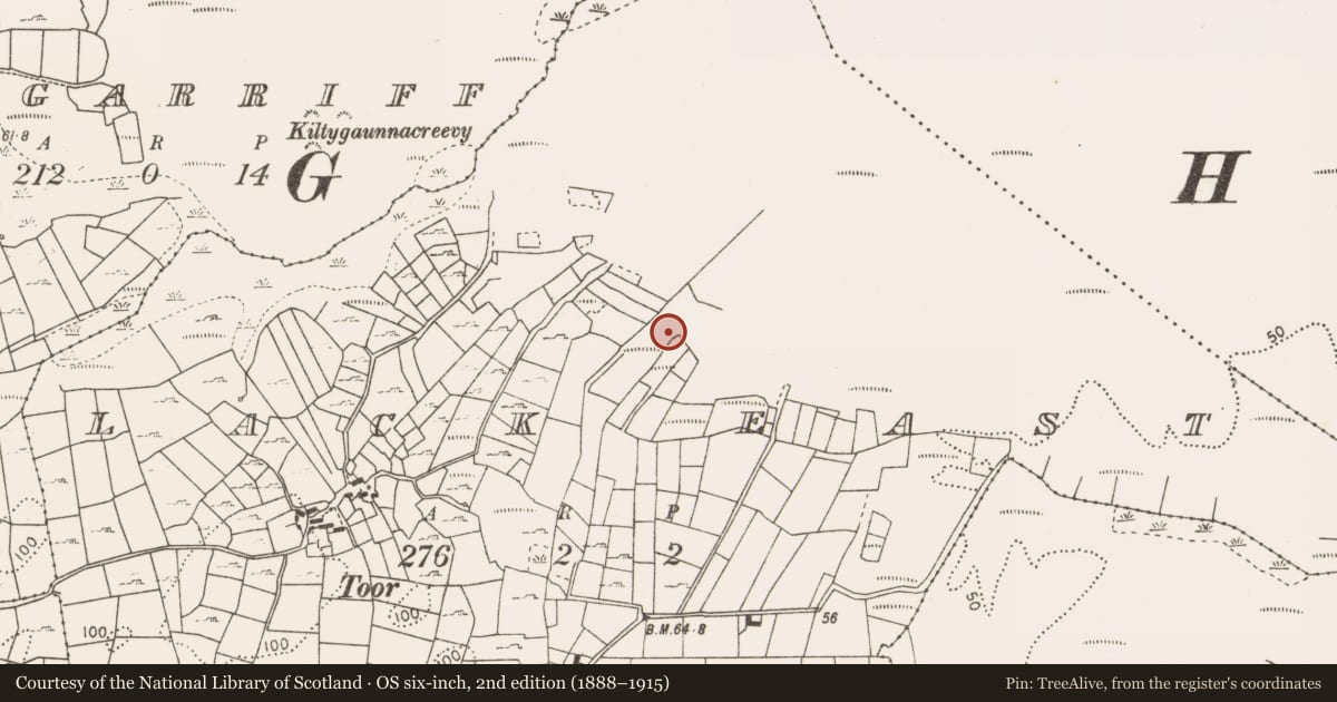 Ordnance Survey six-inch map, 2nd edition (1888–1915) covering the location of Fulacht fia, Cashel Lower, County Mayo, with a pin at the register's coordinates