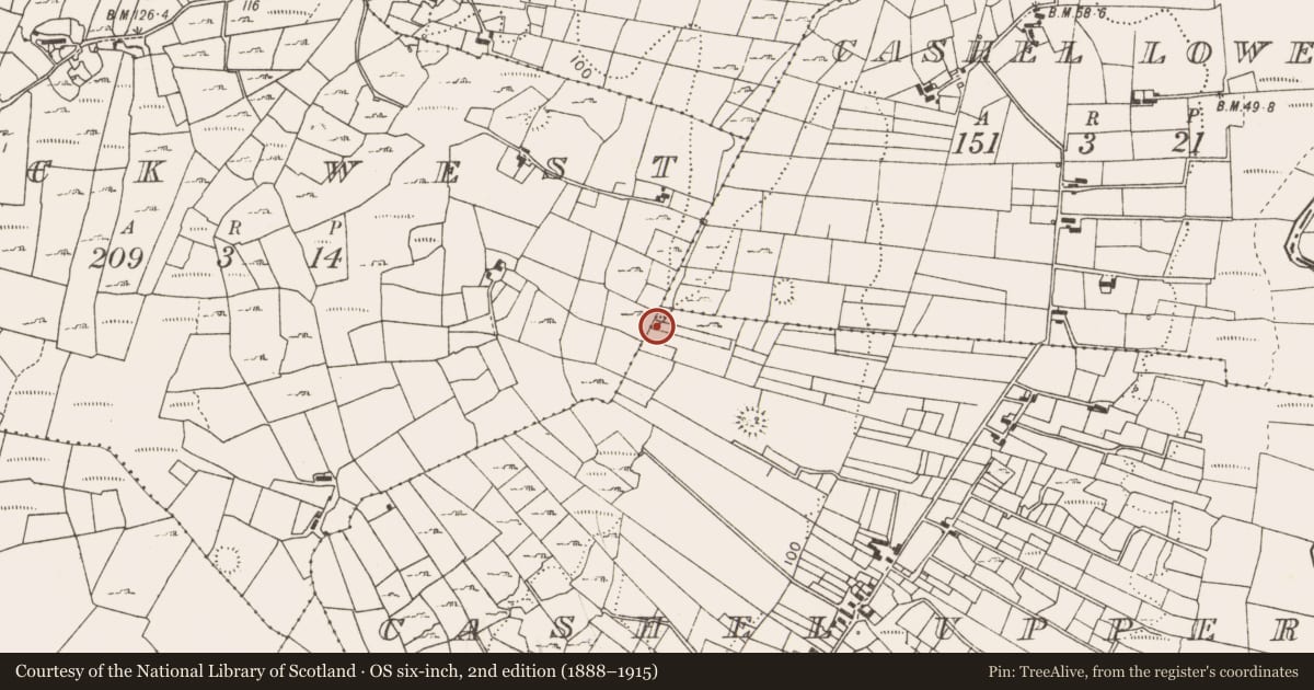 Ordnance Survey six-inch map, 2nd edition (1888–1915) covering the location of Fulacht fia, Cashel Upper, County Mayo, with a pin at the register's coordinates