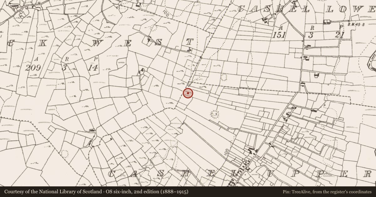 Ordnance Survey six-inch map, 2nd edition (1888–1915) covering the location of Fulacht fia, Cashel Upper, County Mayo, with a pin at the register's coordinates