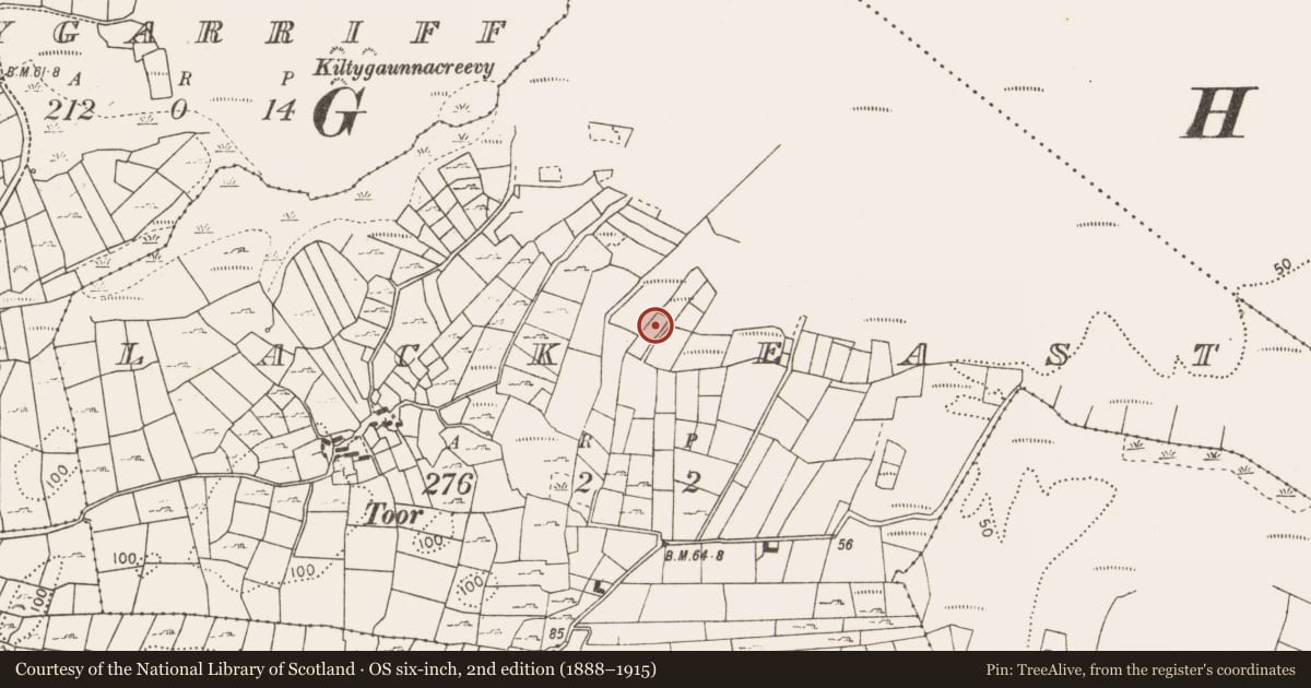 Ordnance Survey six-inch map, 2nd edition (1888–1915) covering the location of Fulacht fia, Cashel Upper, County Mayo, with a pin at the register's coordinates