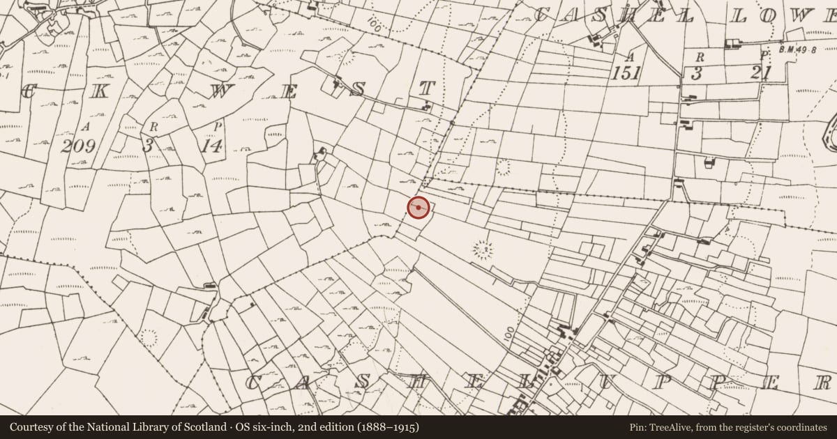 Ordnance Survey six-inch map, 2nd edition (1888–1915) covering the location of Fulacht fia, Cashel Upper, County Mayo, with a pin at the register's coordinates