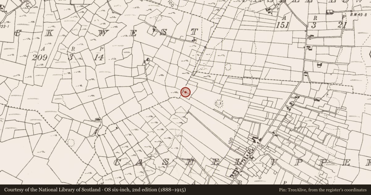 Ordnance Survey six-inch map, 2nd edition (1888–1915) covering the location of Fulacht fia, Cashel Upper, County Mayo, with a pin at the register's coordinates
