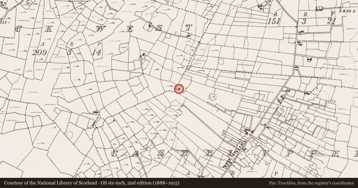 Ordnance Survey six-inch map, 2nd edition (1888–1915) covering the location of Fulacht fia, Cashel Upper, County Mayo, with a pin at the register's coordinates