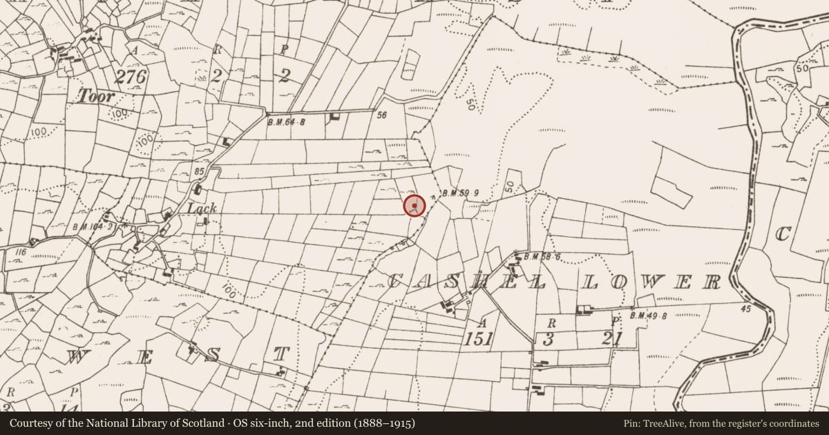 Ordnance Survey six-inch map, 2nd edition (1888–1915) covering the location of Kiln - unclassified, Lack East, County Mayo, with a pin at the register's coordinates