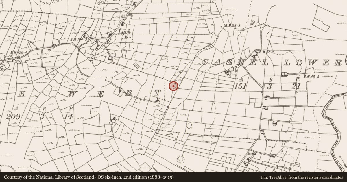 Ordnance Survey six-inch map, 2nd edition (1888–1915) covering the location of Fulacht fia, Lack West, County Mayo, with a pin at the register's coordinates