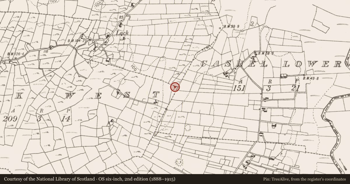Ordnance Survey six-inch map, 2nd edition (1888–1915) covering the location of Fulacht fia, Lack West, County Mayo, with a pin at the register's coordinates