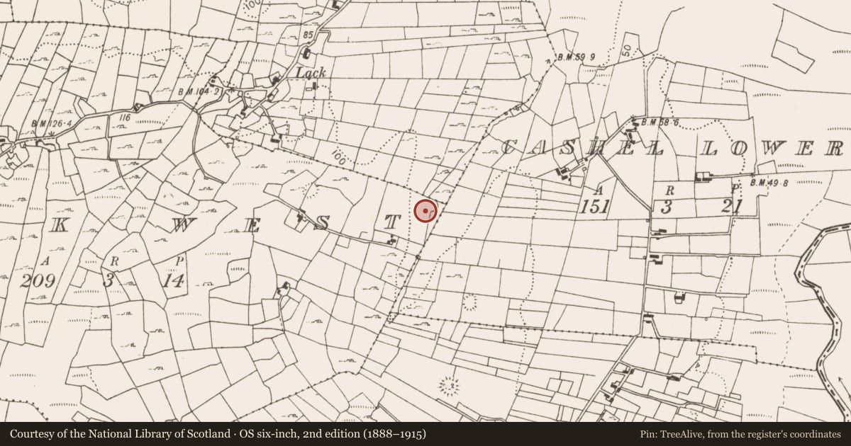 Ordnance Survey six-inch map, 2nd edition (1888–1915) covering the location of Fulacht fia, Lack West, County Mayo, with a pin at the register's coordinates