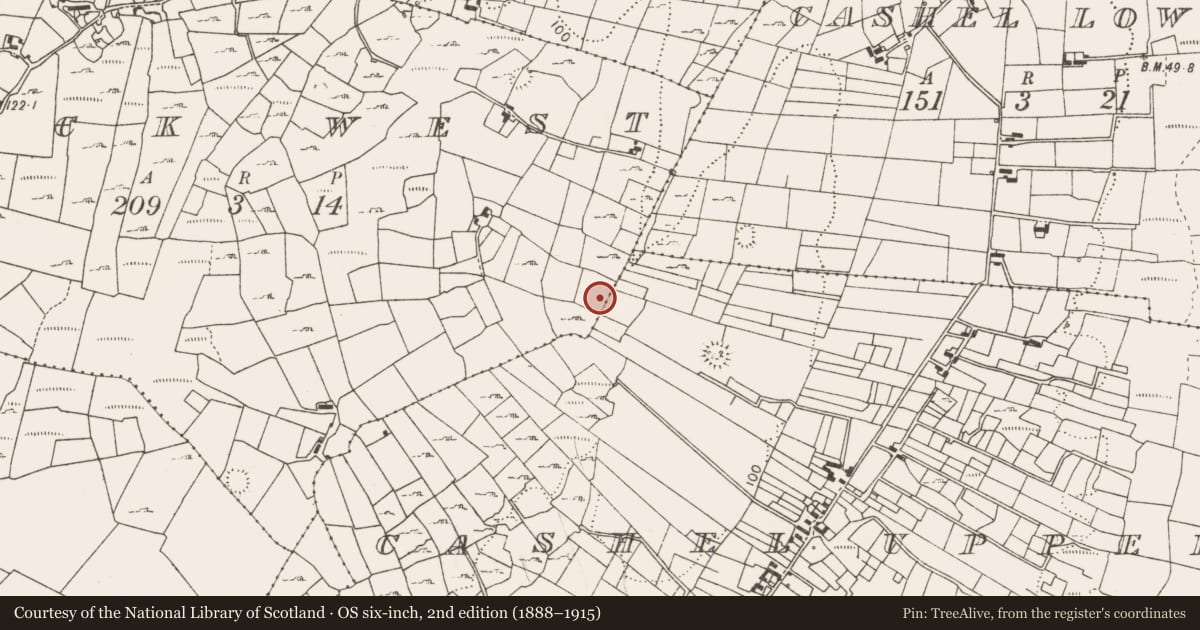 Ordnance Survey six-inch map, 2nd edition (1888–1915) covering the location of Fulacht fia, Lack West, County Mayo, with a pin at the register's coordinates