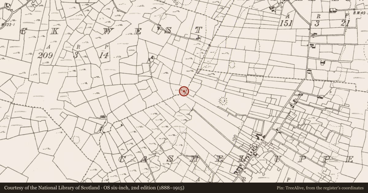 Ordnance Survey six-inch map, 2nd edition (1888–1915) covering the location of Fulacht fia, Lack West, County Mayo, with a pin at the register's coordinates