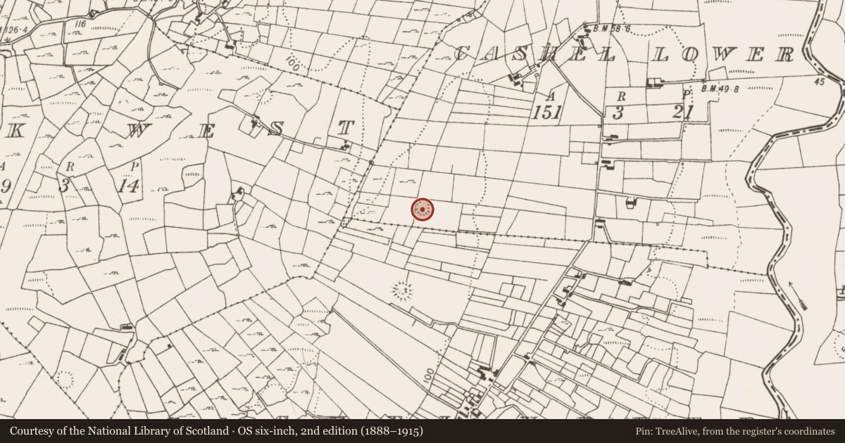 Ordnance Survey six-inch map, 2nd edition (1888–1915) covering the location of Ringfort - rath, Cashel Lower, County Mayo, with a pin at the register's coordinates