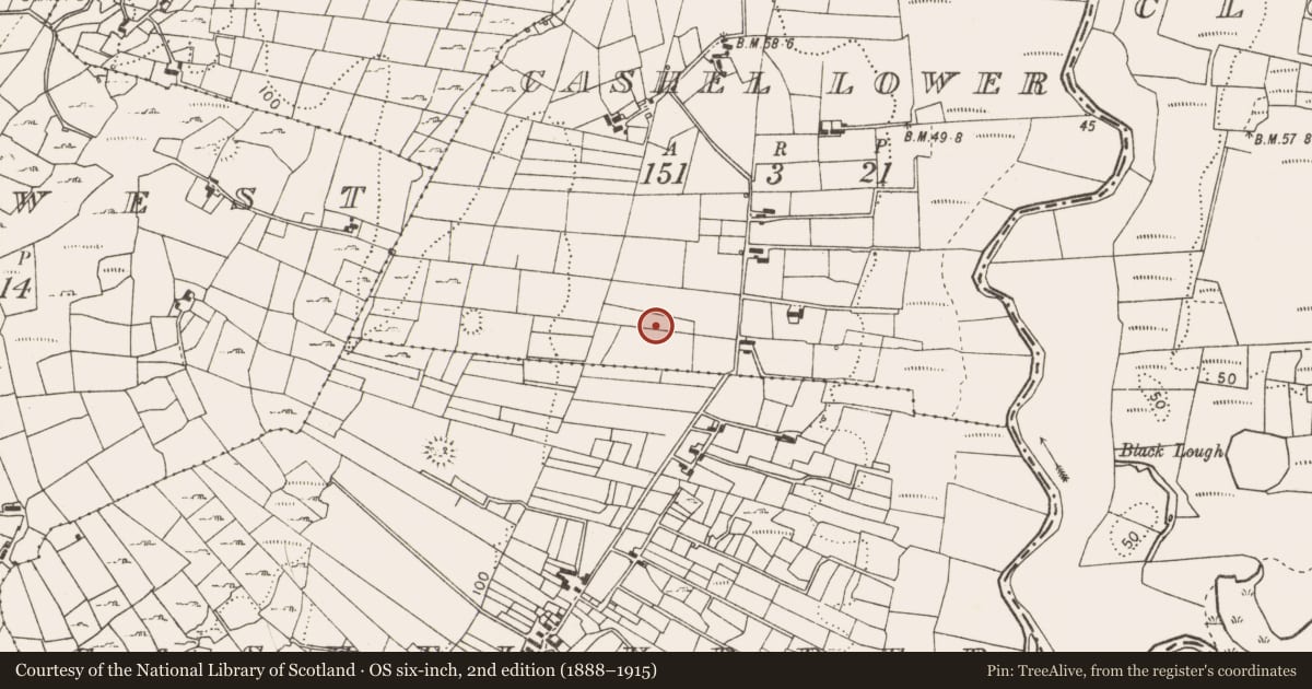 Ordnance Survey six-inch map, 2nd edition (1888–1915) covering the location of Children's burial ground, Cashel Lower, County Mayo, with a pin at the register's coordinates