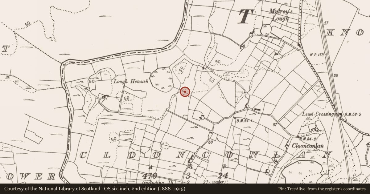 Ordnance Survey six-inch map, 2nd edition (1888–1915) covering the location of Megalithic structure, Cloonconlan, County Mayo, with a pin at the register's coordinates