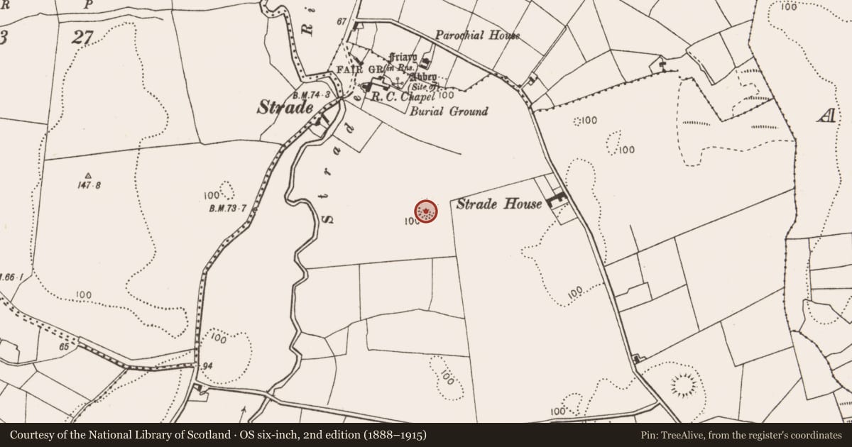 Ordnance Survey six-inch map, 2nd edition (1888–1915) covering the location of Ringfort - rath, Strade, County Mayo, with a pin at the register's coordinates