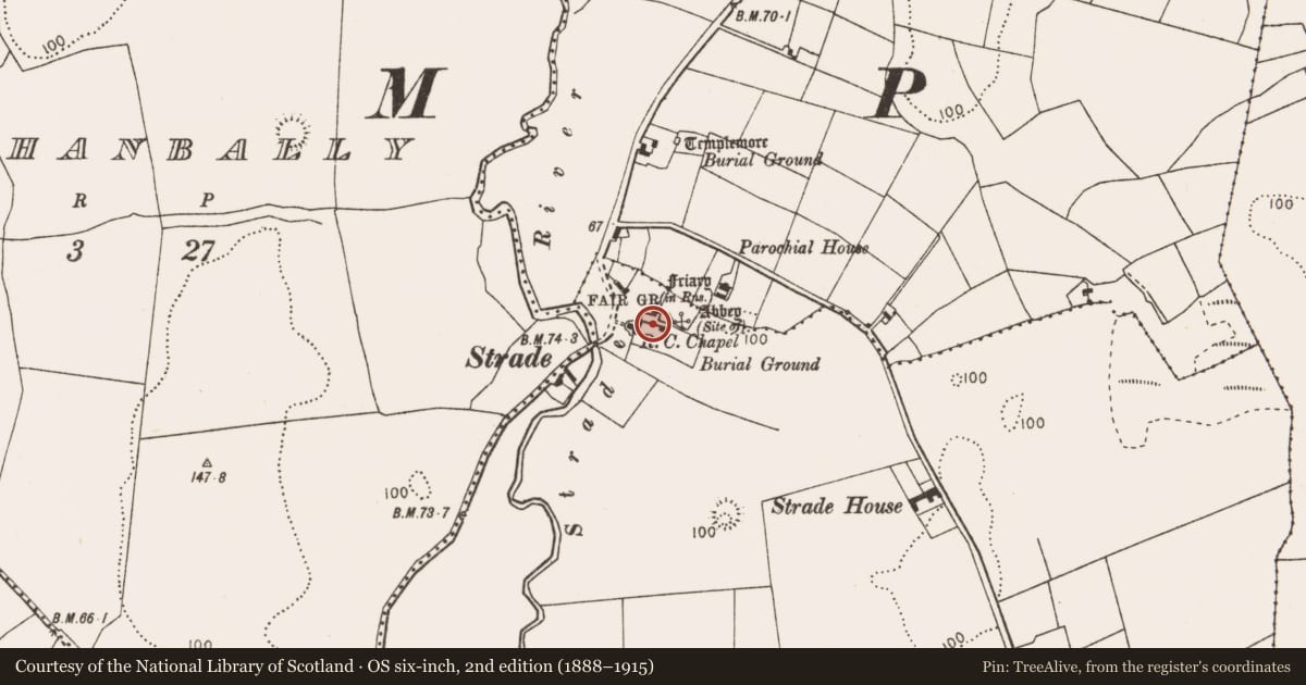 Ordnance Survey six-inch map, 2nd edition (1888–1915) covering the location of Religious house - Dominican friars, Strade, County Mayo, with a pin at the register's coordinates