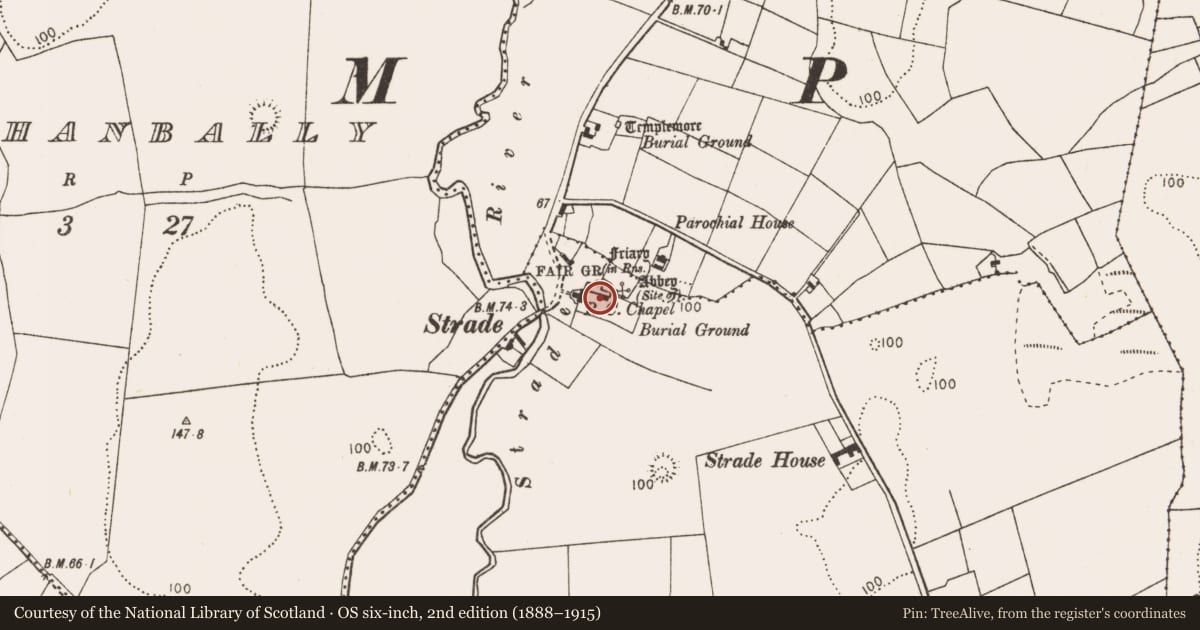 Ordnance Survey six-inch map, 2nd edition (1888–1915) covering the location of Graveslab, Strade, County Mayo, with a pin at the register's coordinates